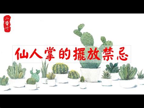 仙人掌放後陽台|後陽台種仙人掌好處